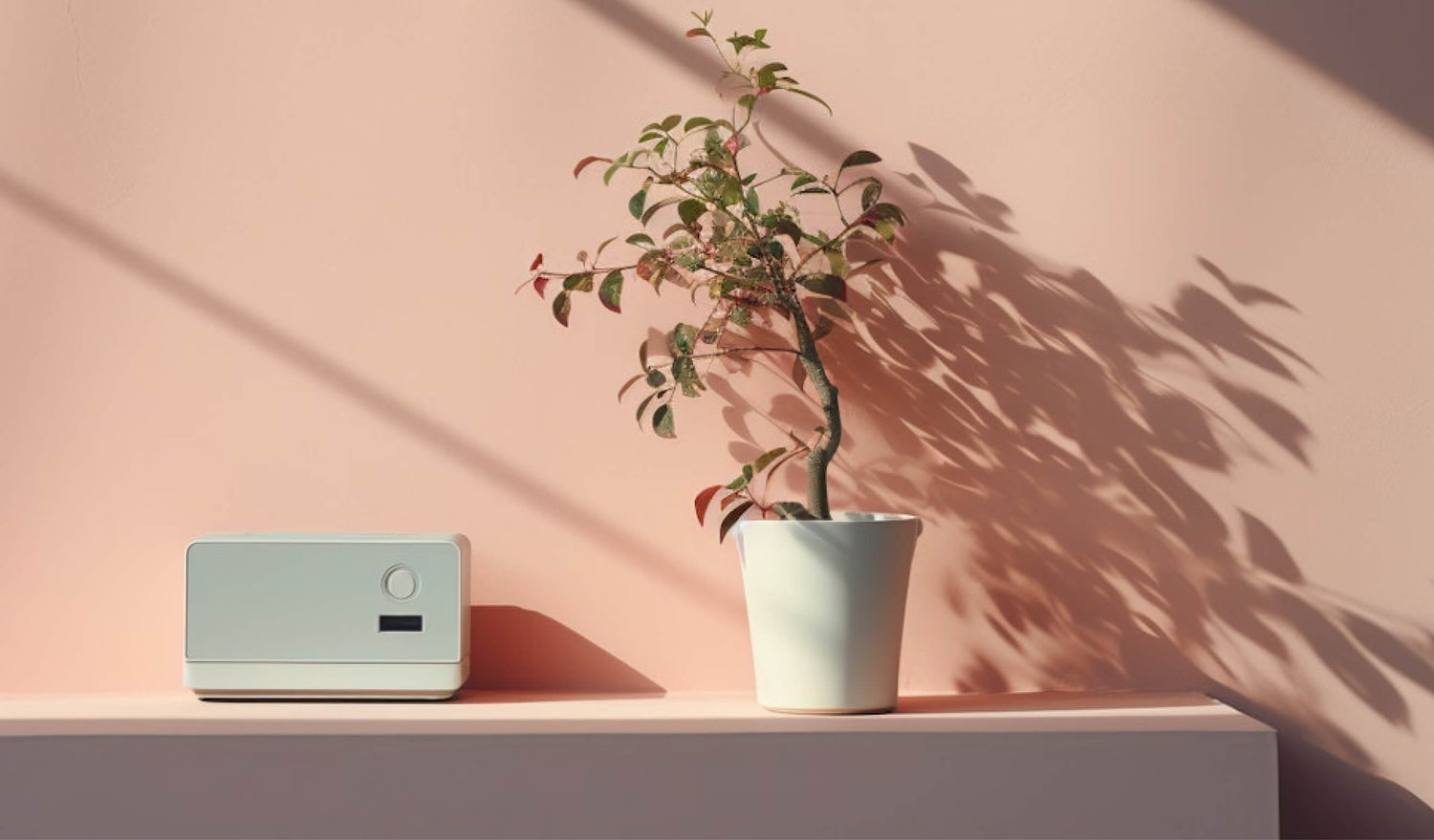 Long Read: Eco System Design Principles